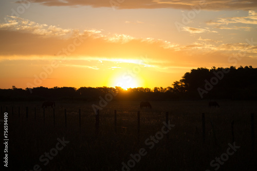 sol y luna