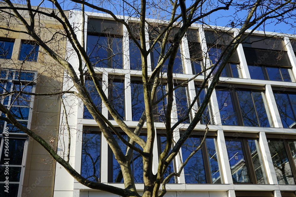 Modernes Bürogebäude in Beige und Naturfarben mit großen getönten Fensterscheiben hinter einem Baum bei blauem Himmel und Sonnenschein in der City und Innenstadt von Frankfurt am Main in Hessen