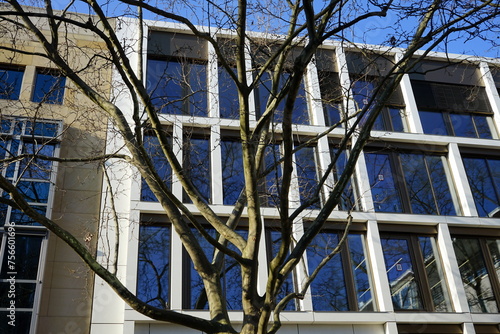 Modernes Bürogebäude in Beige und Naturfarben mit großen getönten Fensterscheiben hinter einem Baum bei blauem Himmel und Sonnenschein in der City und Innenstadt von Frankfurt am Main in Hessen photo