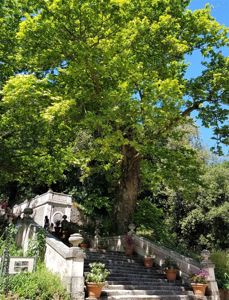 Roma Orto Botanico e Bioparco