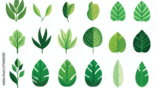 Leaf plant natural sheet vector design flat vector