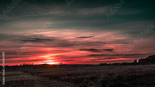 Autumn sunset seen through trees in Podlasie.