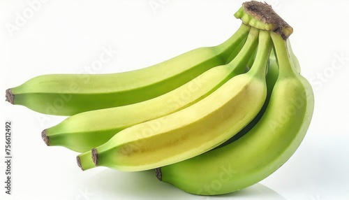 Cultivated banana isolated on a white background. Nutrients of bananas have a variety of energy, carbohydrates, proteins, vitamins, and minerals.