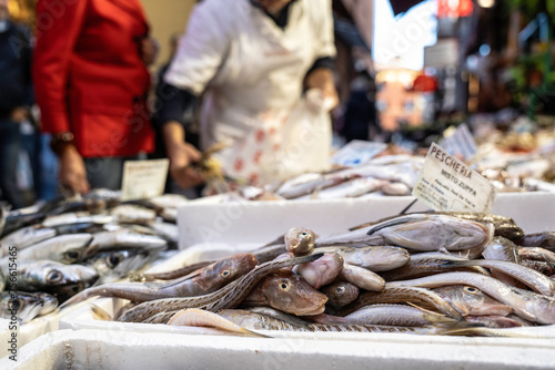 Modern and sustainable fish market with tub gurnard (Chelidonichthys lucerna), also known as the sapphirine gurnard, tube-fish, tubfish or yellow gurnard - Ideal for soup photo