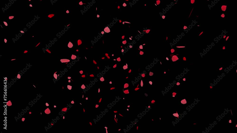 rose flower falling animation with transparent background rose flower falling animation with transparent background