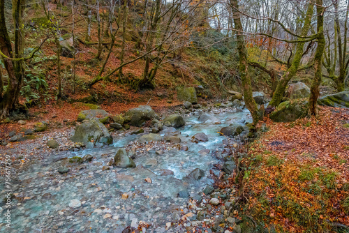 Colorful autumn landscape. The background of nature. The magnificent landscape of the picturesque forest. A mountain river in the autumn forest. 