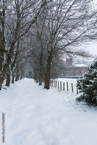 Winter Country Lane