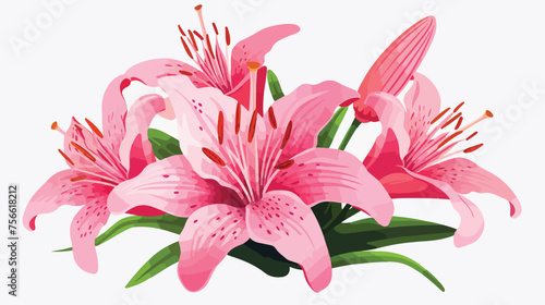 Pink lily flower vector on white background