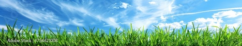 Grassy Field Under Blue Sky and Clouds
