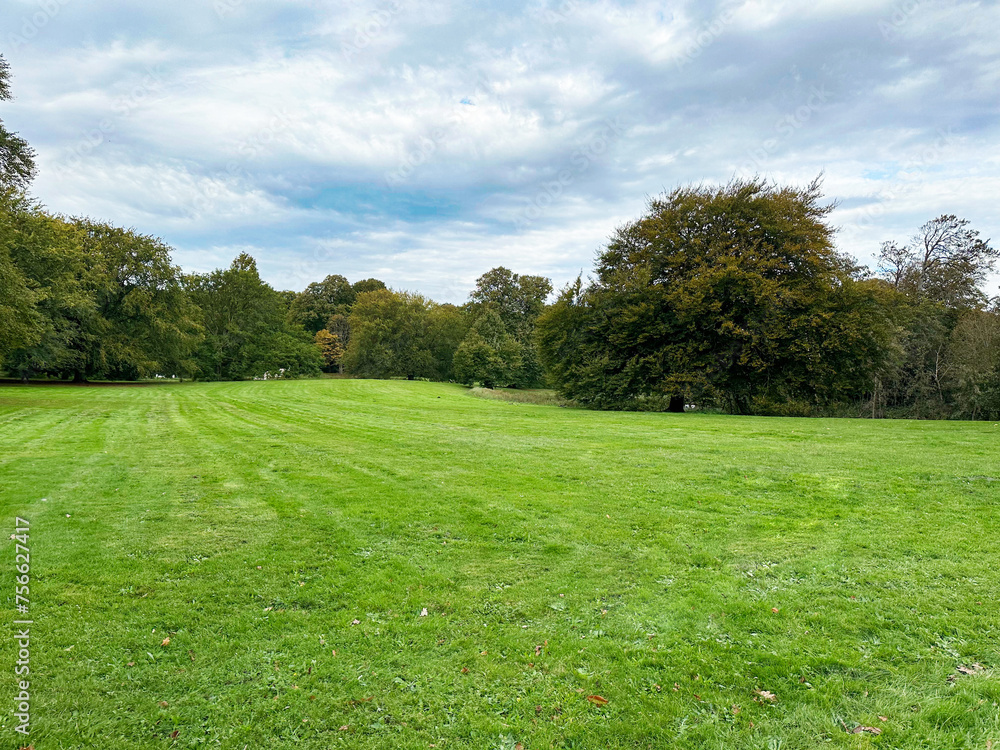 Green grass and lots of trees in beautiful park