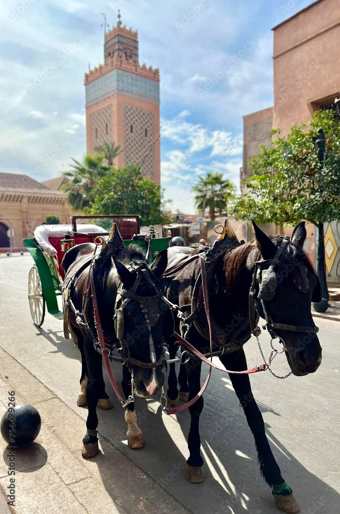 Horses and Carriage near Moulay El yazid Mosque at Marrakesh (Marrakech), Morocco, North Africa, Africa Horses and Carriage near Moulay El yazid Mosque at Marrakesh (Marrakech), Morocco, North Africa, Africa