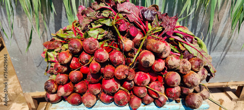 Red Beetroot is a fresh vegetable organic healthy food. Fresh vegetables on stalls in a pakistani market. Carrots and beets. Bunch of raw beetroots just picked from the garden. 4k footage.