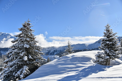 Winter scenery with snowy trees in French alps  © raeva