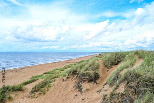 Laholm Bay Beach, Laholmsbuktens beach, the longest sandy beach in Sweden with beautiful dunes and meadows and a view of the sea in summer, Mellbystrand, Halland, Sweden