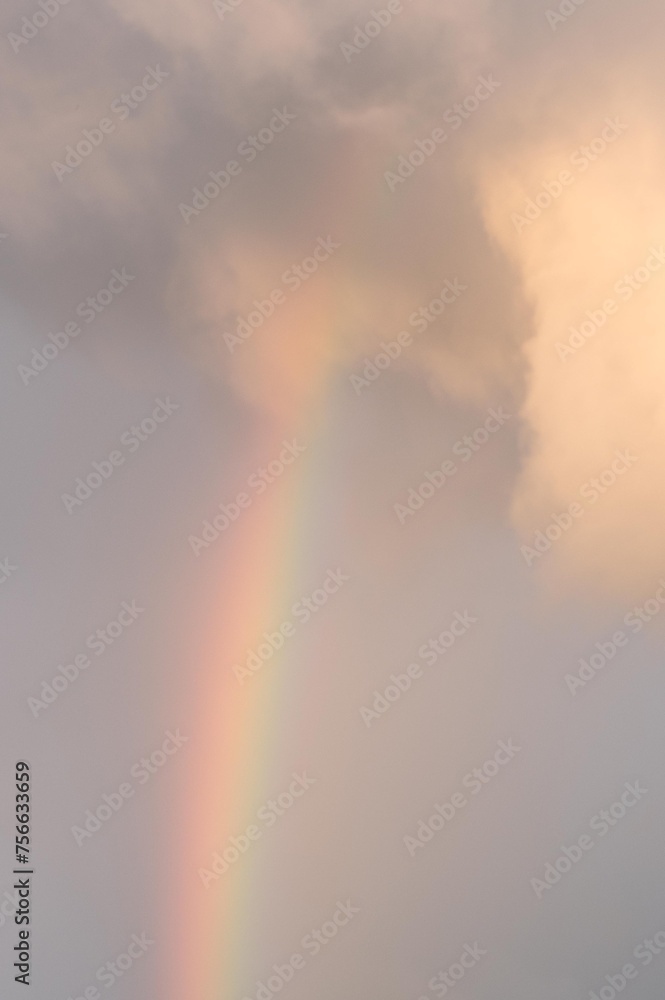 Arc en ciel Arc en ciel