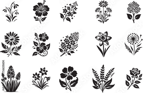 collection of various flowers  hibiscus  orchid  daisy  dandelion  heather  rose  crocus  black vector graphic