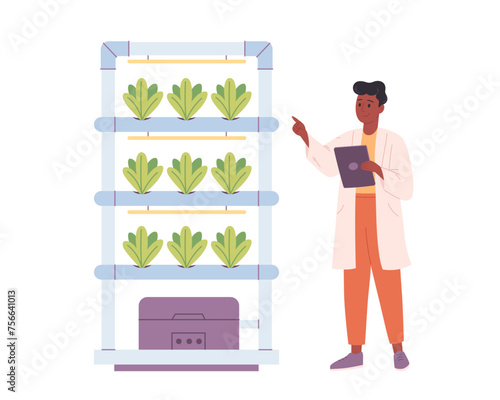 Hydroponics technology for plants growing. Vertical farming. Scientist or biologist grows plants in hydroponic farm. Smart farm. Vector illustration in flat style