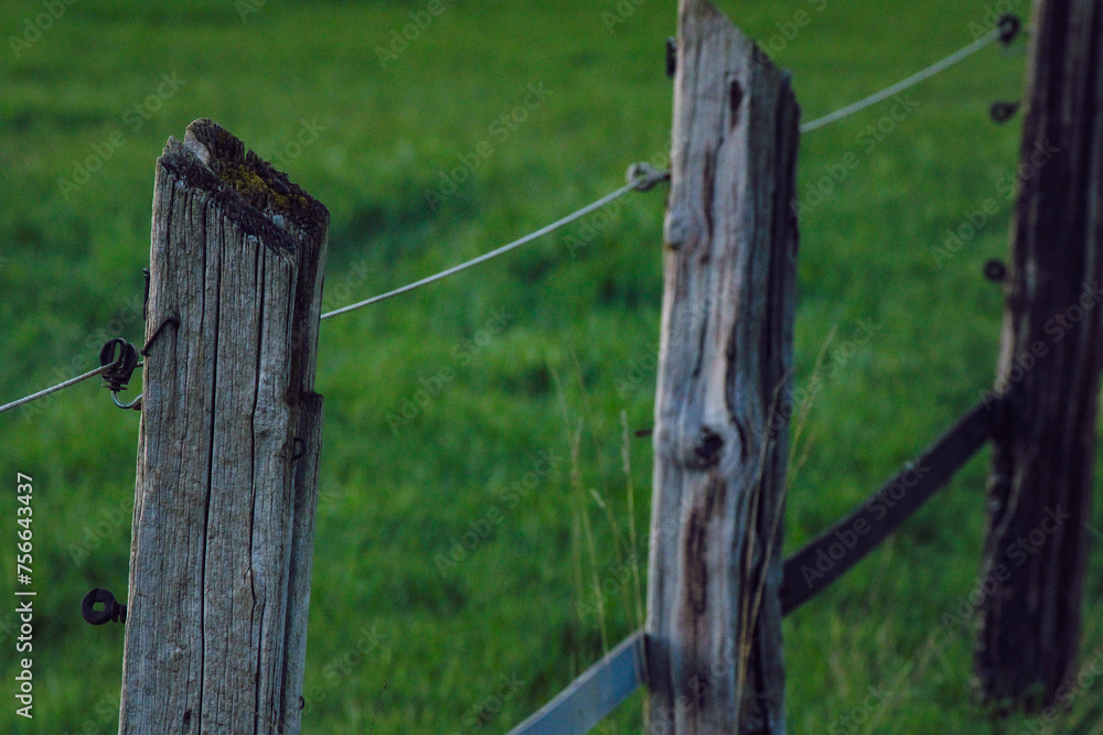 Fototapeta premium old fence
