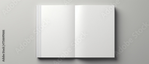 Back view of a blank white brochure mockup.