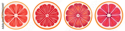 Illustration of pink grapefruit slices isolated