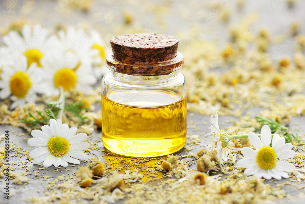 Chamomile essential oil on black texture background with fresh flowers nearby, copy space, natural medicine, organic remedy for sleep, skin care, stress and depression therapy Chamomile essential oil on black texture background with fresh flowers nearby, copy space, natural medicine, organic remedy for sleep, skin care, stress and depression therapy
