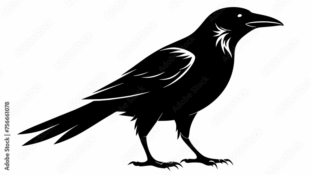 Obraz premium caw sillenite on white background