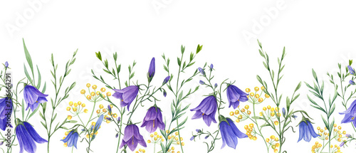 Quadro su tela Floral seamless horizontal border with campanula, wild meadow plants