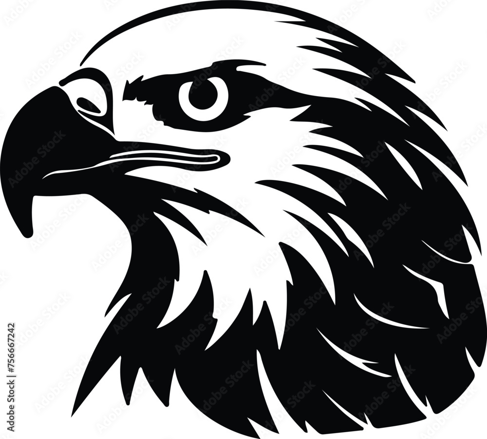 Fototapeta premium baldeagle silhouette