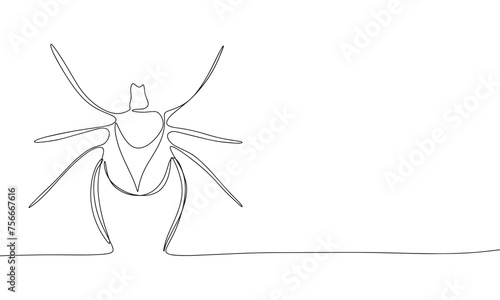 Mite one line continuous. Line art mite isolated on transparent background. Hand drawn vector art.