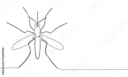 Mosquito one line continuous. Line art Mosquito isolated on transparent background. Hand drawn vector art.