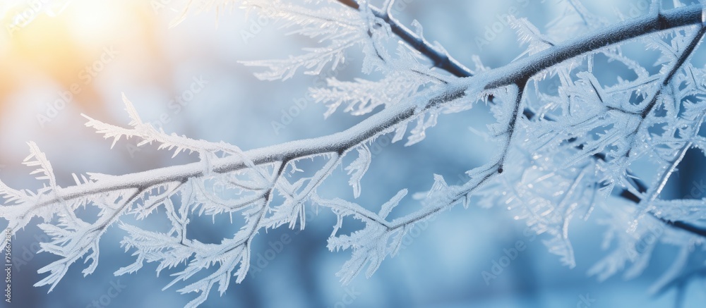 A close up of a twig on a tree branch covered in freezing snow and ice, set against a backdrop of electric blue sky in a natural winter landscape