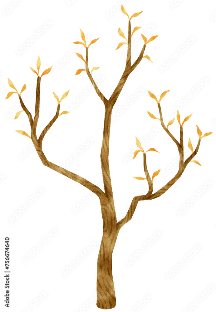 Autumn Tree with Yellow leaves watercolor illustration for Decorative Element