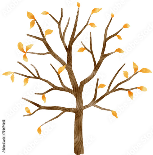 Autumn Tree with Yellow leaves watercolor illustration for Decorative Element