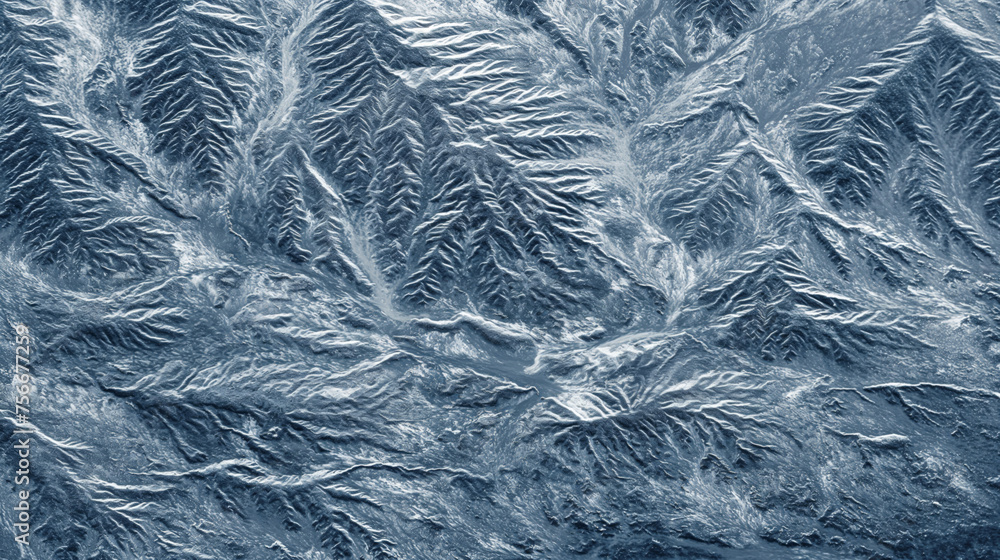 Obraz premium A mesmerizing aerial view of a frozen landscape, showcasing intricate patterns of ice and snow that resemble leafy branches spreading across the terrain.