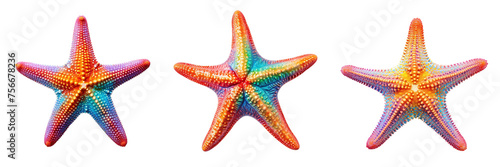 Collection of Starfishes isolated on transparent or white background