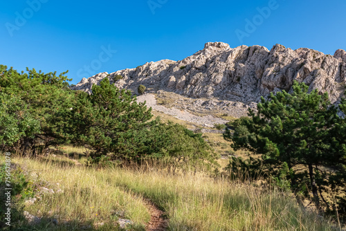 Scenic hiking trail through idyllic conifer forest to majestic mountain ridges in coastal town Baska, Krk Otok, Primorje-Gorski Kotar, Croatia, Europe. Alpine landscape in serene atmosphere in summer