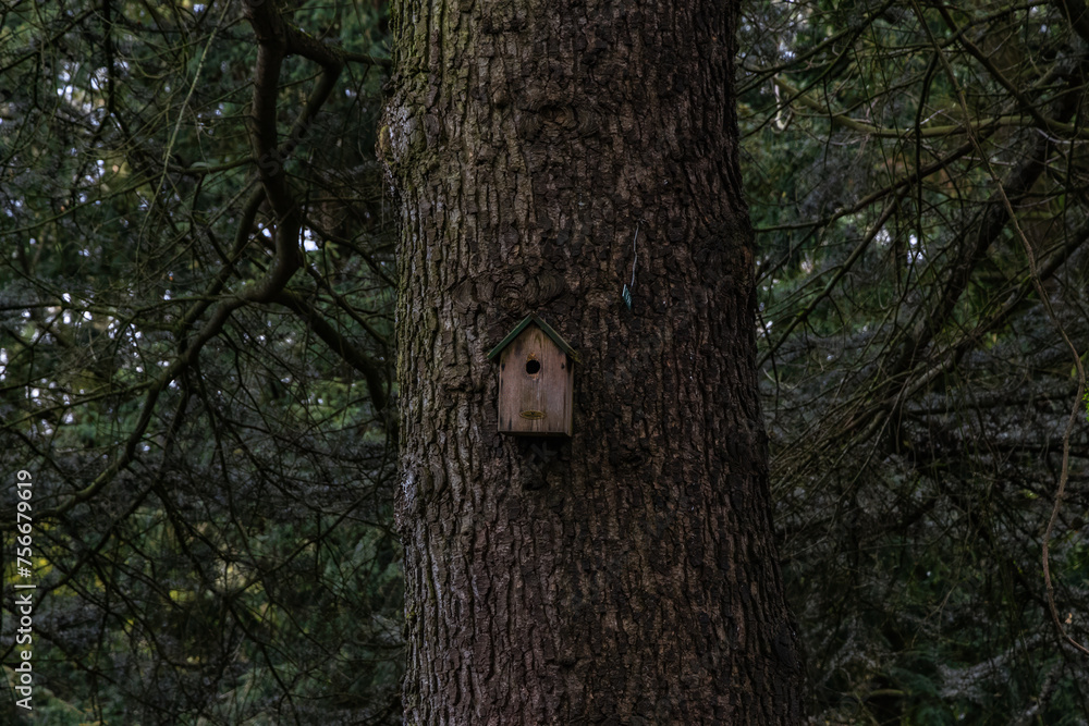 A birdhouse is nestled in the bark of a tree A birdhouse is nestled in the bark of a tree