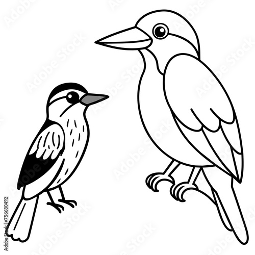coloring-pages-with-kingfisher-and-canary-bird