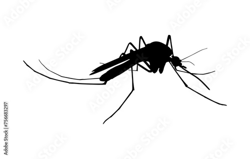 mosquito, mosquitoes black silhouette isolated. Insect flock in air. Viruses and diseases spreading mosquito isolated on white © Mati