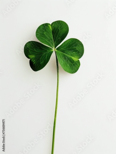 Perfect Four-Leaf Clover on a White Background © romanets_v