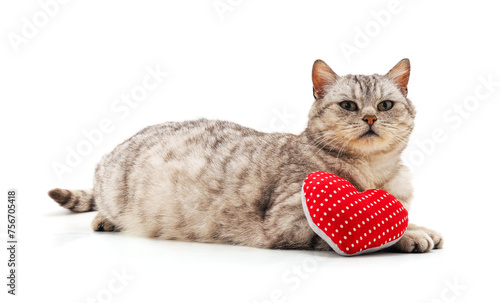 Cat with toy heart. © voren1