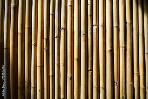 bamboo texture