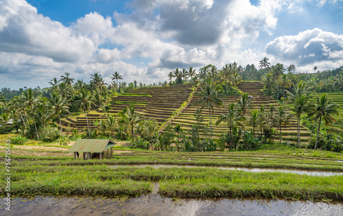 Jatiluwih Rice Terraces in Bali, Indonesia.