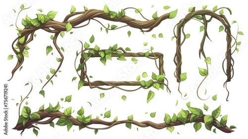 A cartoon modern rain forest tree stem in rectangular and circular shapes. Jungle climbing plant vine for game UI design. Frames and borders of twisted and tangled liana branches with green leaves.