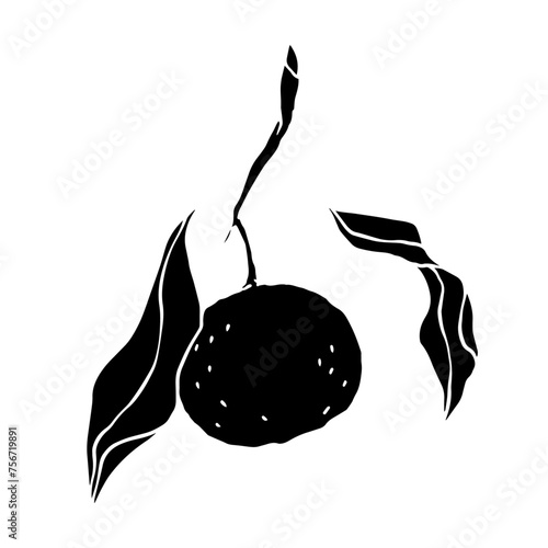 Silhouette, stencil of the citrus fruit tangerine.Vector graphics.