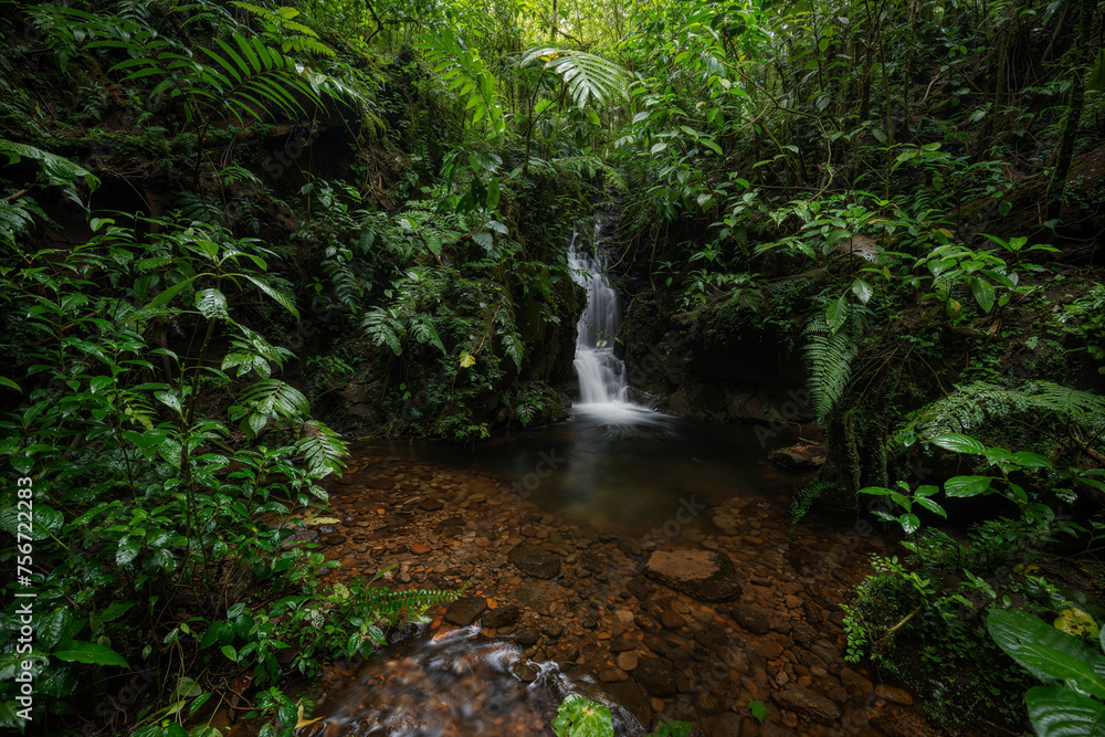 Obraz premium Tropical rainforest with waterfall