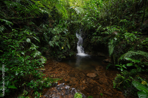 Tropical rainforest with waterfall