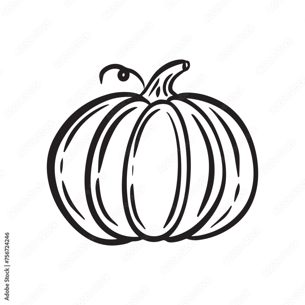Black pumpkin on white background, vector line print Black pumpkin on white background, vector line print