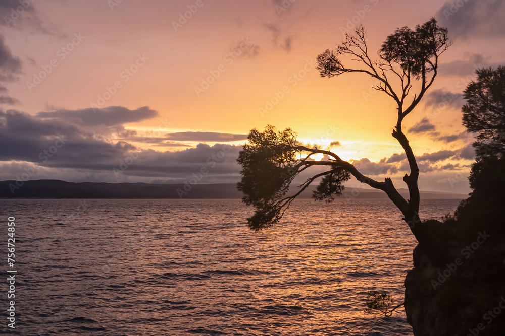 Silhouette of tree branch against romantic sunset at Punta Rata beach in idyllic Brela, Makarska Riviera, Dalmatia, Croatia. Dreamlike atmosphere at Adriatic Mediterranean Sea. Vibrant red sky colours Silhouette of tree branch against romantic sunset at Punta Rata beach in idyllic Brela, Makarska Riviera, Dalmatia, Croatia. Dreamlike atmosphere at Adriatic Mediterranean Sea. Vibrant red sky colours