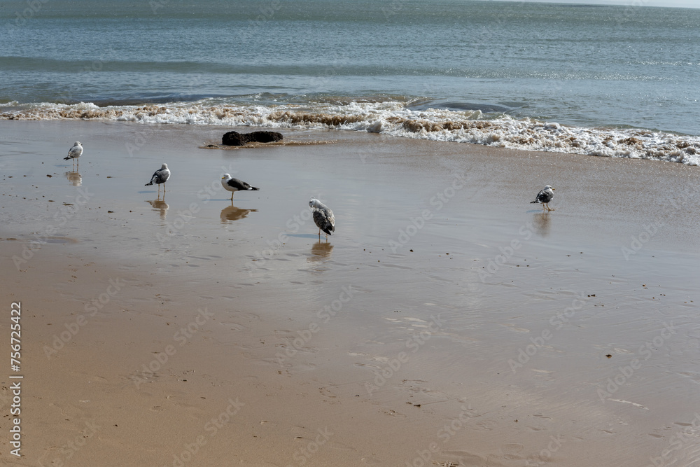 strip of atlantic beaches in lisbon portugal